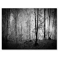 Beautiful Forest Morning Panorama  Canvas Art Print