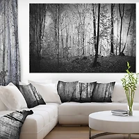 Beautiful Forest Morning Panorama  Canvas Art Print