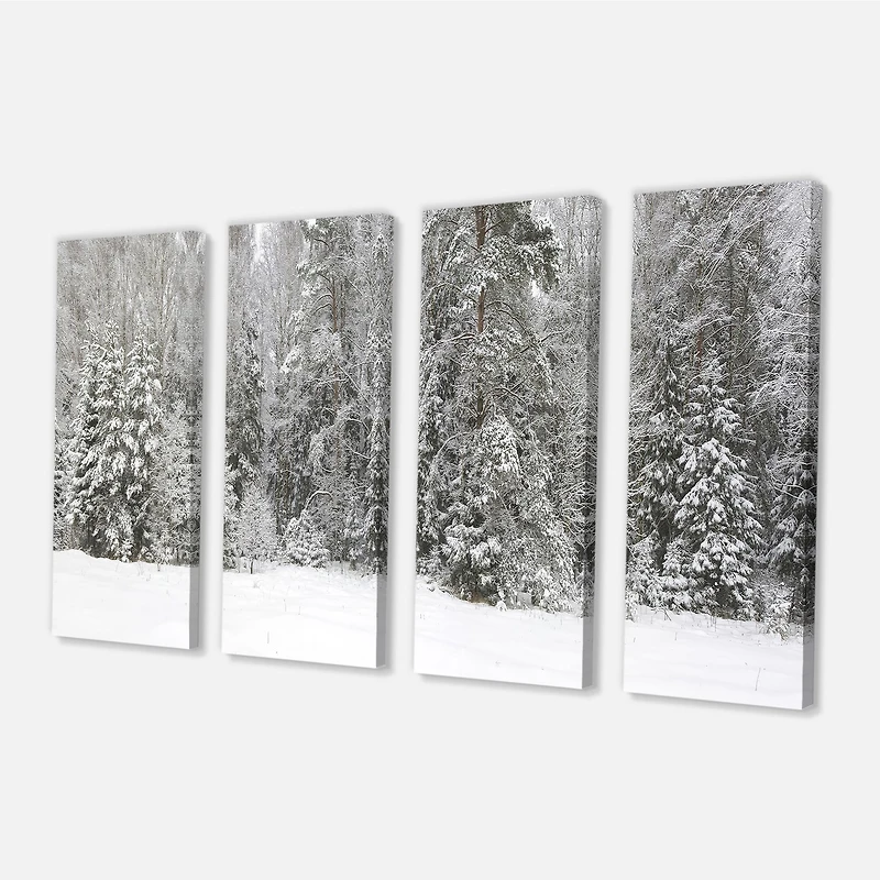 Toile « Foggy Winter Forest Panorama »