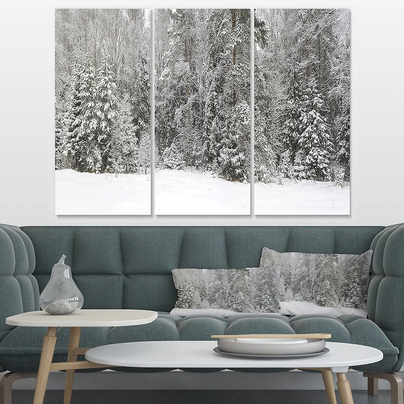 Foggy Winter Forest Panorama Canvas Wall Art