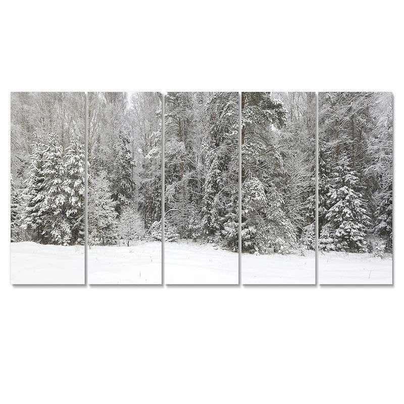 Foggy Winter Forest Panorama Canvas Wall Art