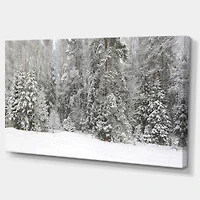 Foggy Winter Forest Panorama  Wall Art