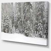 Foggy Winter Forest Panorama  Wall Art
