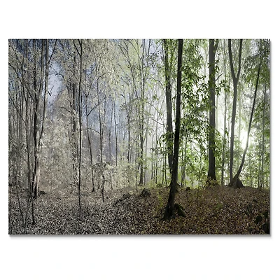 Toile imprimée « Green Morning Forest Panorama »
