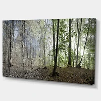 Green Morning Forest Panorama  Canvas Art Print