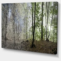Green Morning Forest Panorama  Canvas Art Print