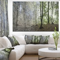 Green Morning Forest Panorama  Canvas Art Print