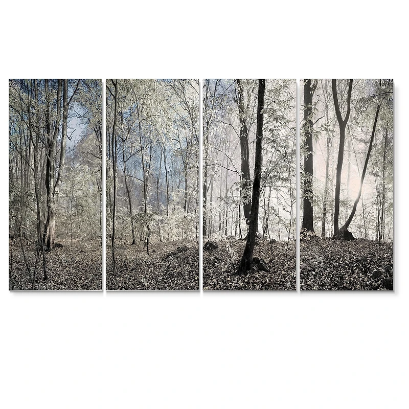 Toile imprimée « Dark Morning the Forest » 4 art mural