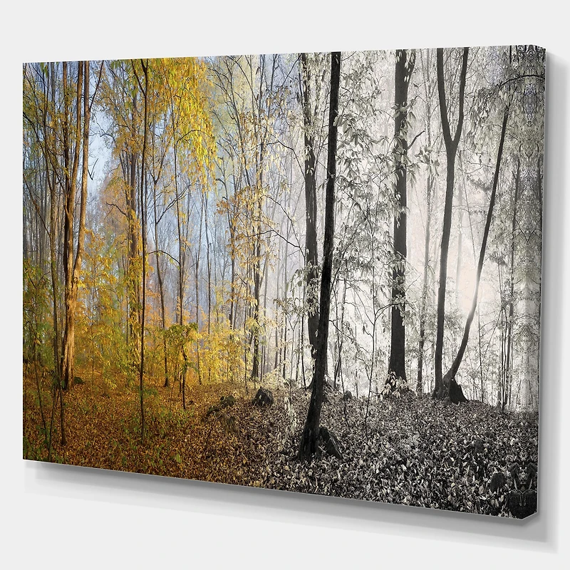 Toile imprimée « Yellow Morning Forest Panorama »