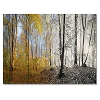 Toile imprimée « Yellow Morning Forest Panorama »