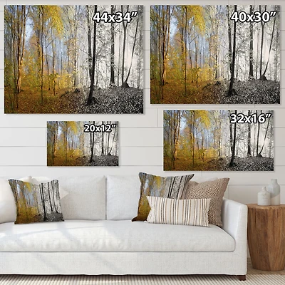 Yellow Morning Forest Panorama  Canvas Art Print
