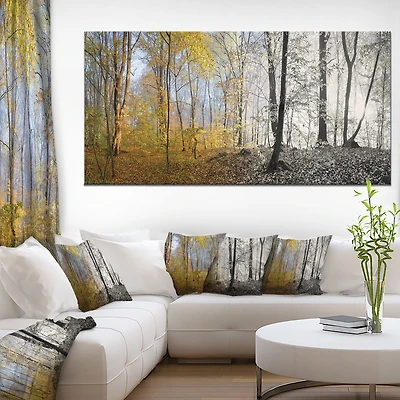 Morning Forest Panorama Canvas Art Print