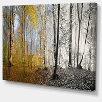 Morning Forest Panorama Canvas Art Print