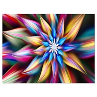 Exotic Multi Color Flower Petals  Wall Art