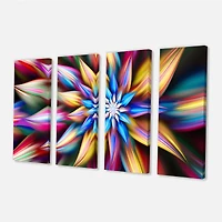 Exotic Multi Color Flower Petals  Canvas Wall Art