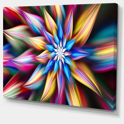 Exotic Multi Color Flower Petals  Wall Art