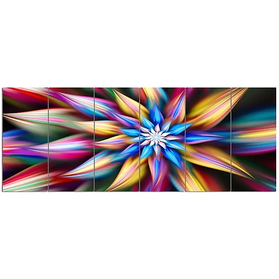 Exotic Multi Color Flower Petals  Wall Art