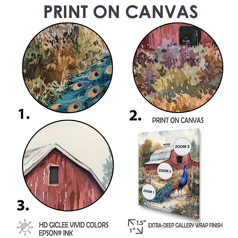 Farmyard Peacock – Vibrant Garden Elegance