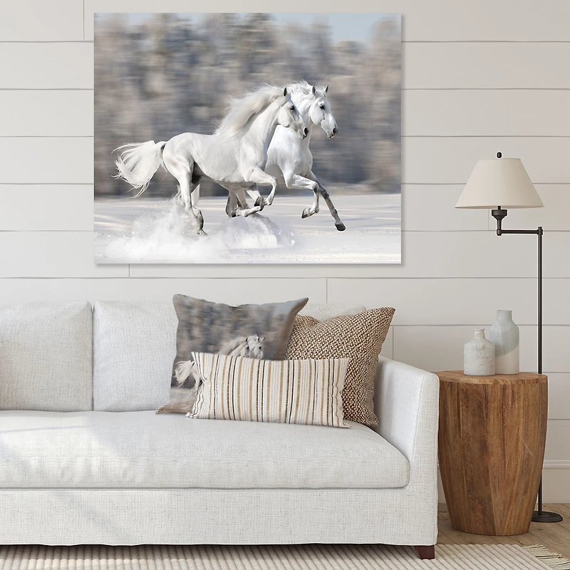 Two White Horse  Wall Art Canvas
