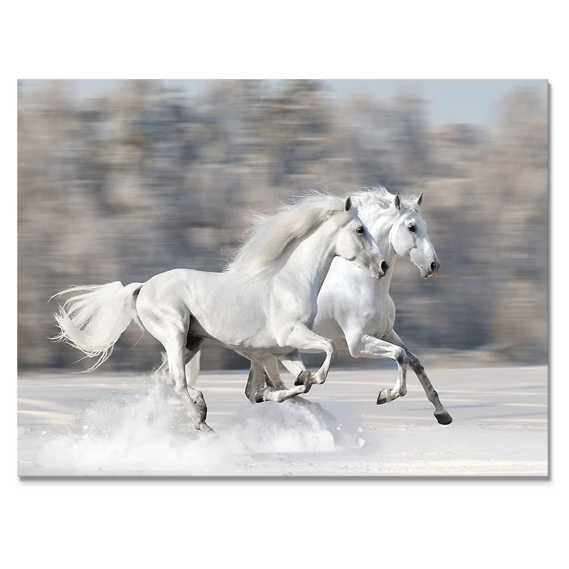 Two White Horse  Wall Art Canvas