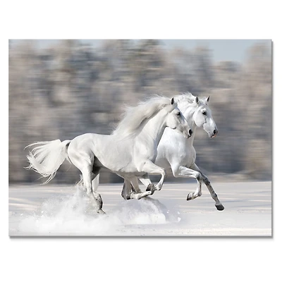 Two White Horse Wall Art Canvas