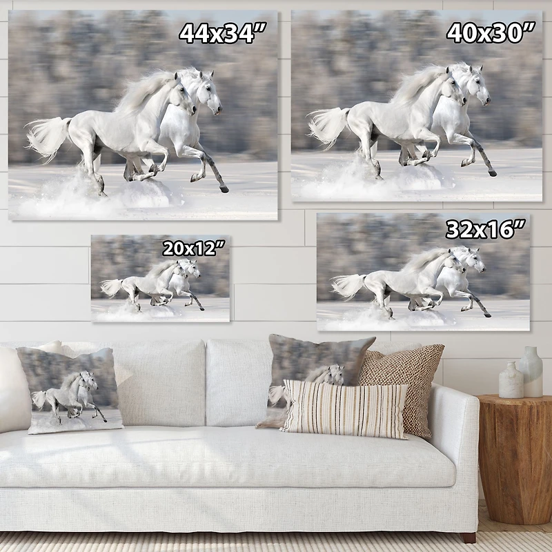Two White Horse  Wall Art Canvas