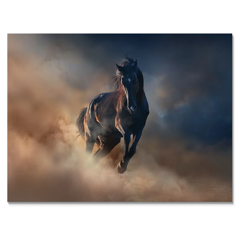 Toile « Black Stallion Horse »