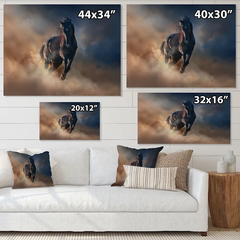 Toile « Black Stallion Horse »