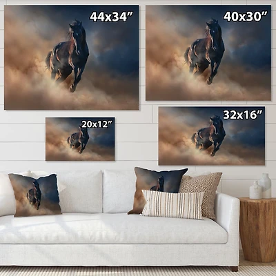 Black Stallion Horse  Canvas