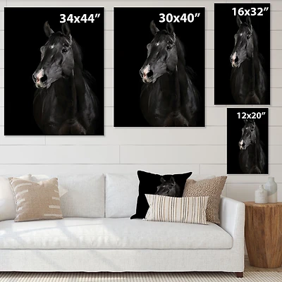 Black Horse darkness  Canvas