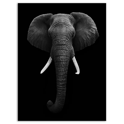 African Elephant  Wall Art