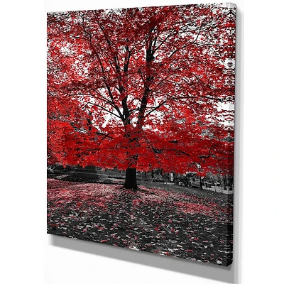 Red Tree Central Park Wall Art