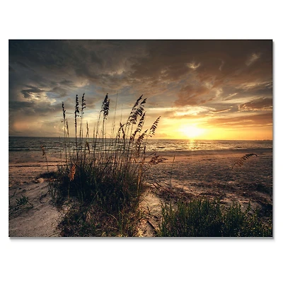 Grassy and Beach Sunset Wall Art Canvas