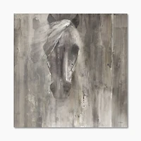Farm HorseToile Canvas