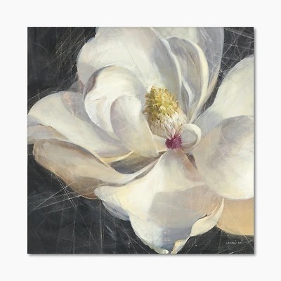 Vivid White Magnolia IV Canvas Wall Art