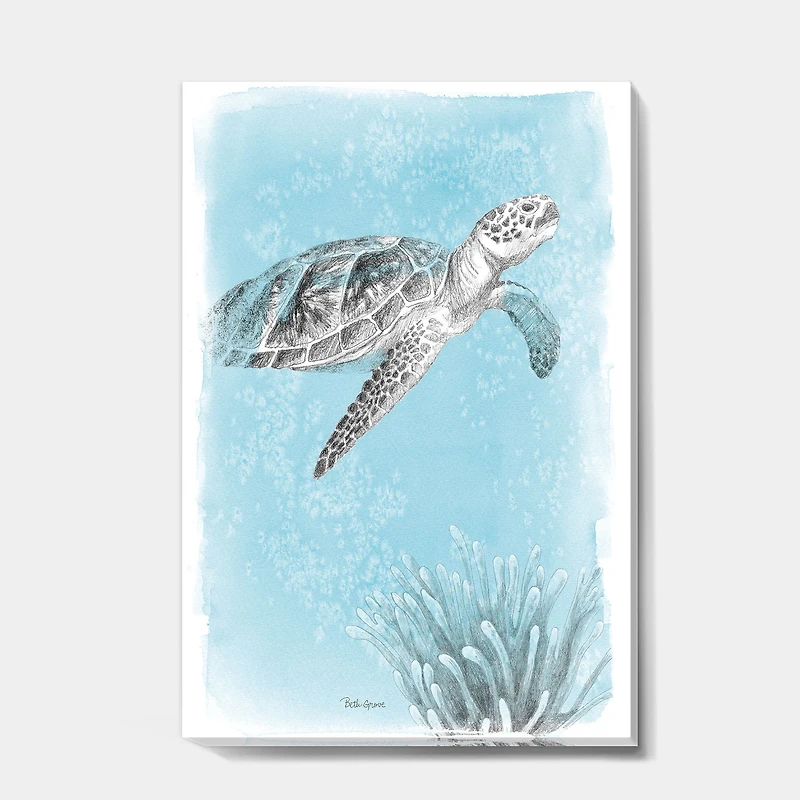 Toile « Coastal Sea Life I Turtle sketches »