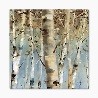 White Birch Forest II  Canvas Wall Art