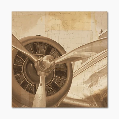 Retro Airplanes Sepia  Wall Art