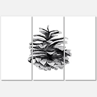 Conifer Cone Monochrome Canvas Wall Art - 3 Panels