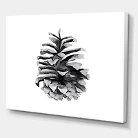 Toile « Conifer Cone Monochrome »