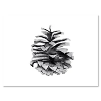 Toile « Conifer Cone Monochrome »