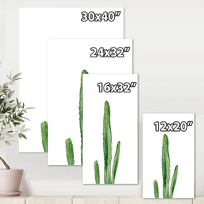 Green Cactus South Western Plant Botanical Detail  Wall Art