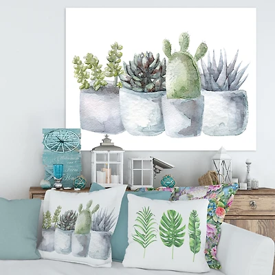 Cactus and Succulent House Plants I  Wall Art