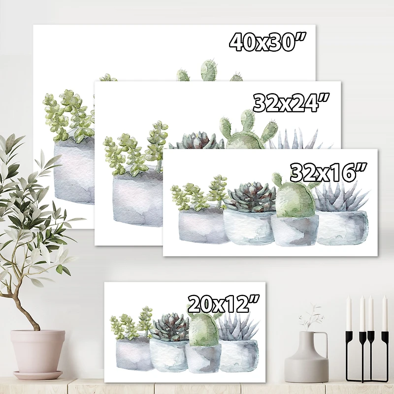 Cactus and Succulent House Plants I  Wall Art