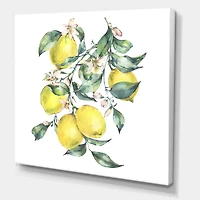 Branch of Yellow Lemons and Leaves I  Wall Art
