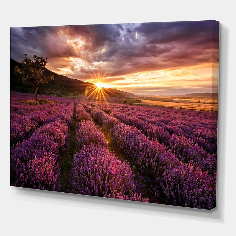 Sunrise & Dramatic Clouds Over Lavender Field IV  Wall Art