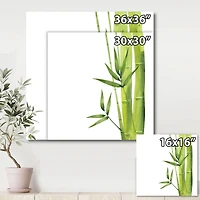 Bamboo Branches The Forest V  Wall Art