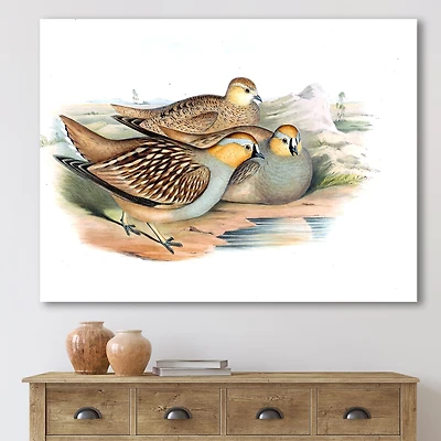Vintage Birds The Wild III  Wall Art