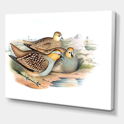 Toile « Vintage Birds The Wild III »