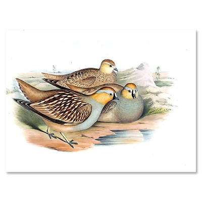 Toile « Vintage Birds The Wild III »